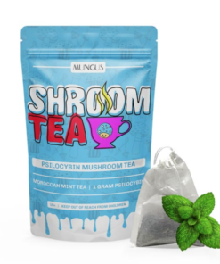 Buy Moroccan Mint Shroom Tea 1 GRAM Online