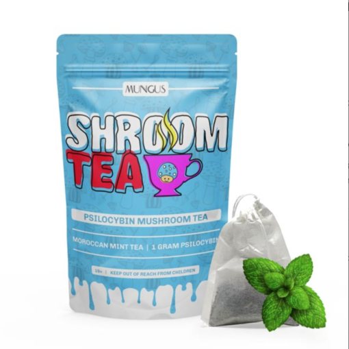 Buy Moroccan Mint Shroom Tea 1 GRAM Online