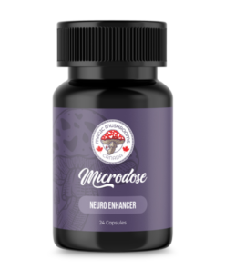 Buy Neuro Enhancer Microdose (24) | Magic Mushrooms Canada Online